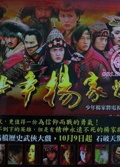  少年楊家將 （胡歌版）