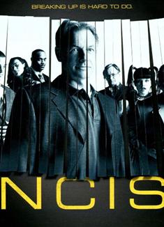 NCSI海軍罪案調查處第八季完整版 