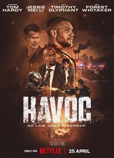 毒劫/浩劫/Havoc (2025)