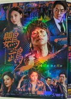 鸚鵡DVD (2025)