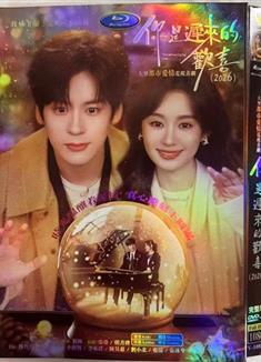 你是遲來的歡喜/You Are My Fateful Love (2026)