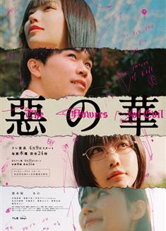 惡之華/惡の華 (2026)
